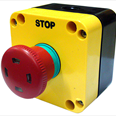 Flag Indicator Pit Stop Switch Detail Page
